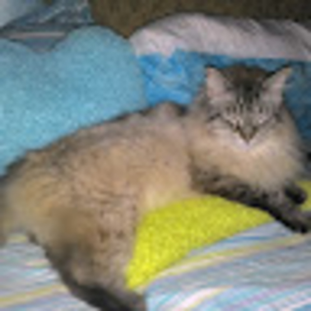 Meet your Posher, Fading